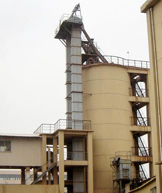 高料倉(cāng)上料專(zhuān)業(yè)環(huán)鏈提升機(jī)